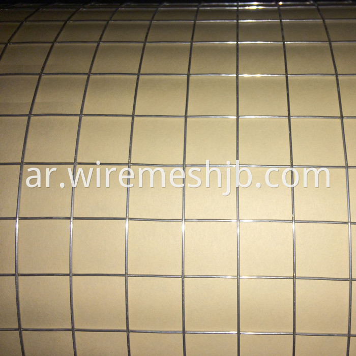 2'' Welded Mesh